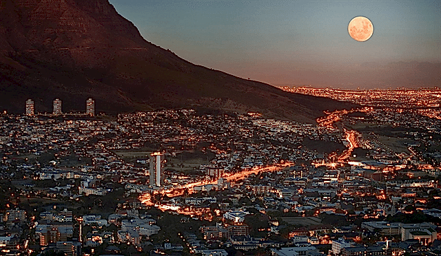 Güney Afrika'da Dil Eğitimi