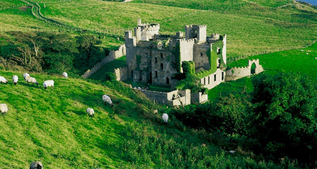 İrlanda'da Dil Eğitimi
